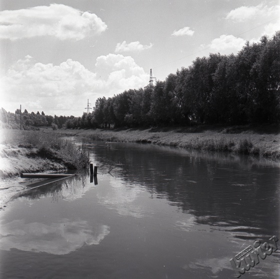 Rzeka Bystrzyca w Lublinie w okolicach Parku Ludowego