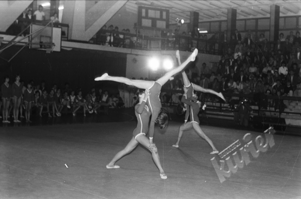 Pokazy gimnastyczne w hali MOSiR w Lublinie