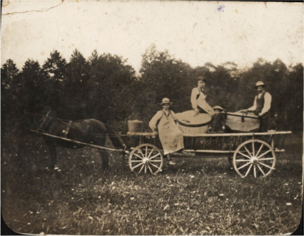 Miodobranie w Elżbietowie koło Lubartowa w 1914 roku