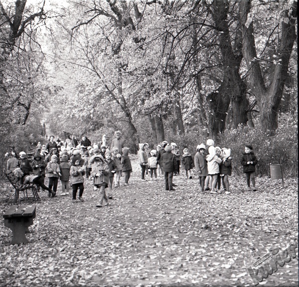 Ogród Saski w Lublinie - wycieczka dzieci jesienią na głównej alejce