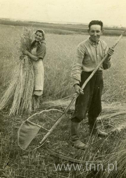 Stanisław Gołofit z żoną Anną podczas prac polowych