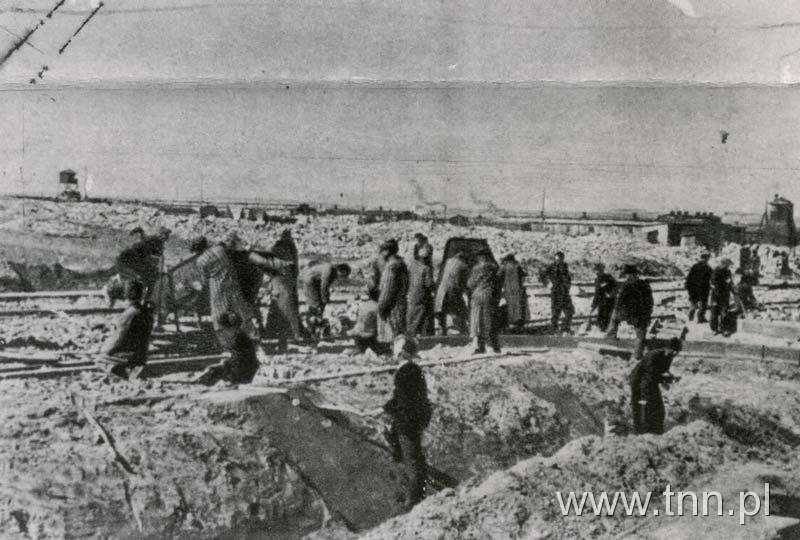 Wieżniowie obozu koncentracyjnego na Majdanku w Lublinie