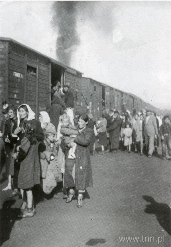 Deportacja Żydów z Siedlec