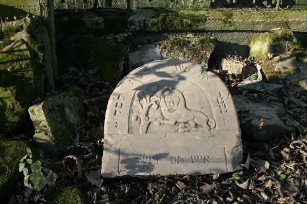 Fragment macewy na nowym cmentarzu żydowskim w Lublinie
