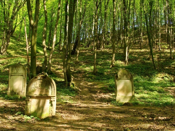 Cmentarz żydowski w Kazimierzu Dolnym