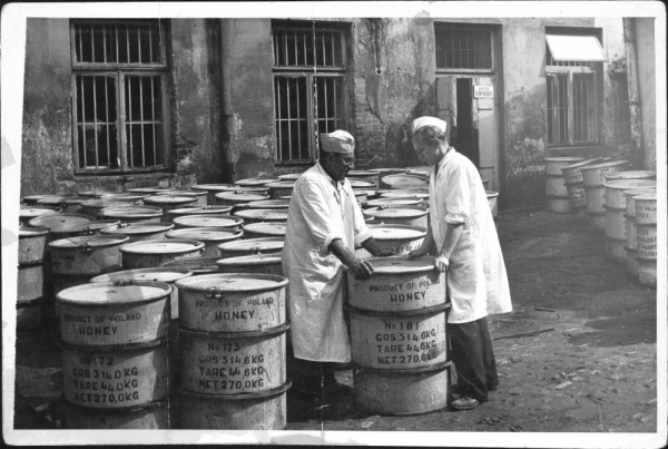 Rozlewnia miodu w Lublinie przy ulicy Staszica 5 około 1948 roku – beczki z miodem na eksport
