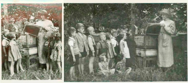 Stanisław Jasiński w swojej pasiece na Poczekajce k.Lublina i „Zielona szkoła” dla przedszkolaków w 1955 roku